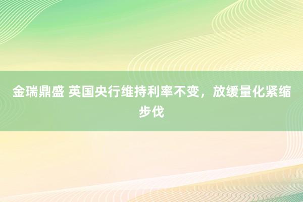 金瑞鼎盛 英国央行维持利率不变，放缓量化紧缩步伐