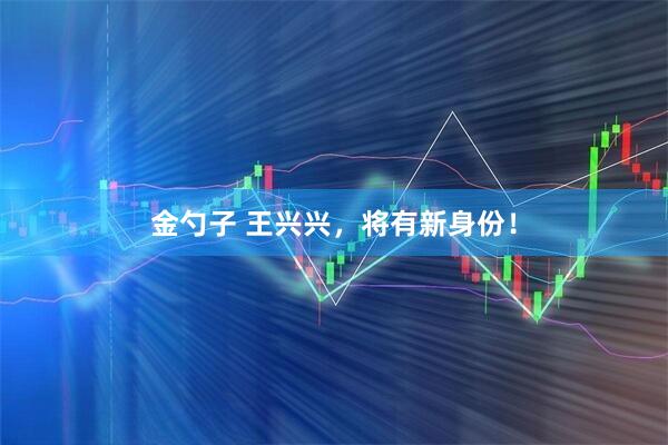 金勺子 王兴兴，将有新身份！