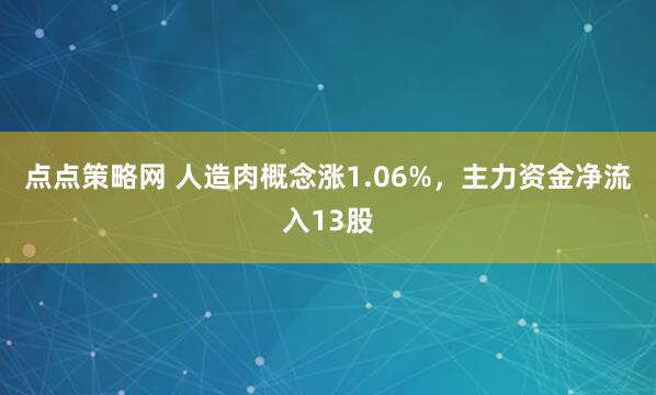 点点策略网 人造肉概念涨1.06%，主力资金净流入13股