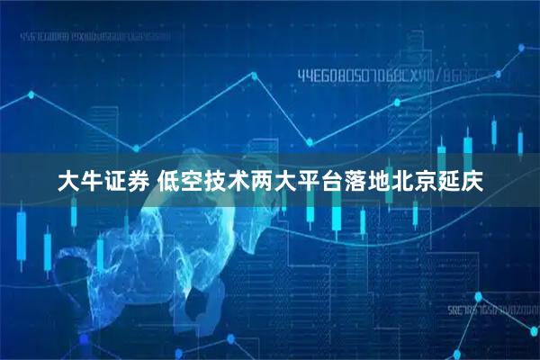 大牛证券 低空技术两大平台落地北京延庆