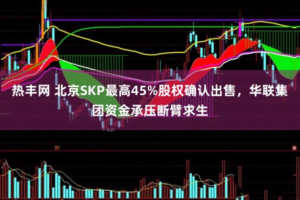 热丰网 北京SKP最高45%股权确认出售，华联集团资金承压断臂求生