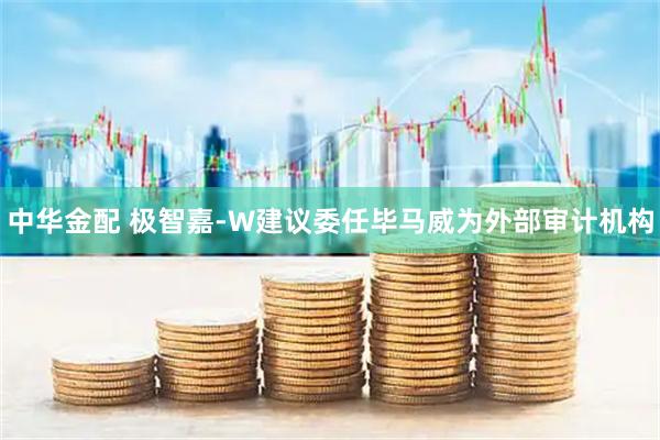 中华金配 极智嘉-W建议委任毕马威为外部审计机构